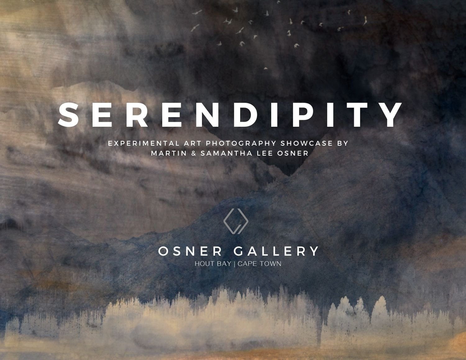 Cover of the Serendipity exhibition brochure
