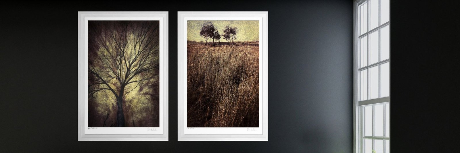 Two framed tree photographs from the Master Series by Martin Osner